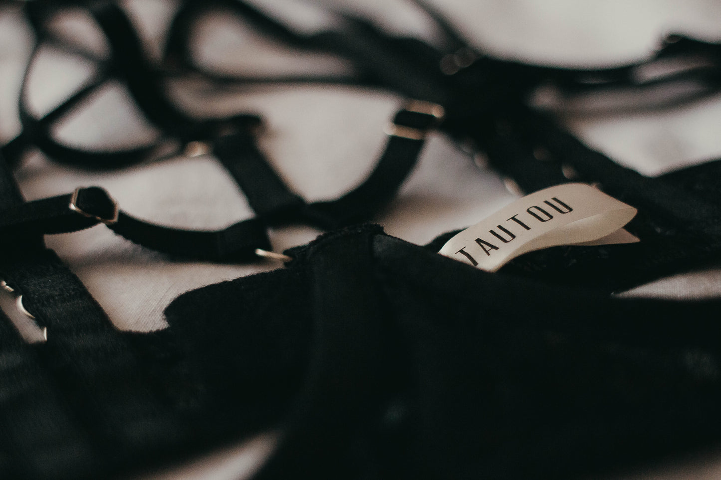 Close-up of strap details and metal rings Dakota harness lingerie